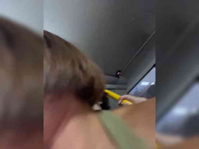 SpringMe webcam