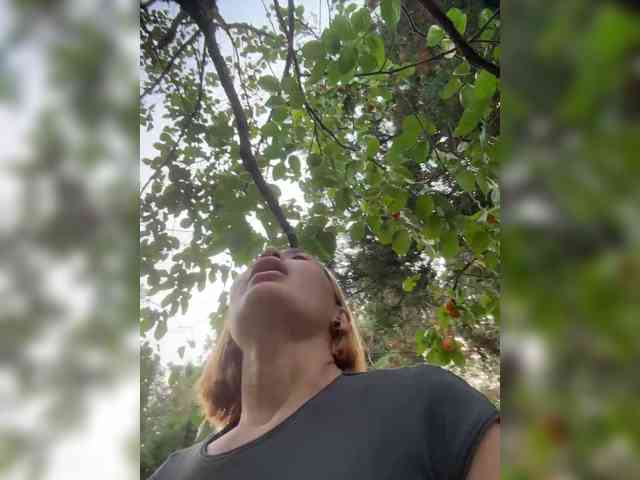SpringMe
