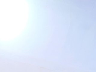 DahianaMoss