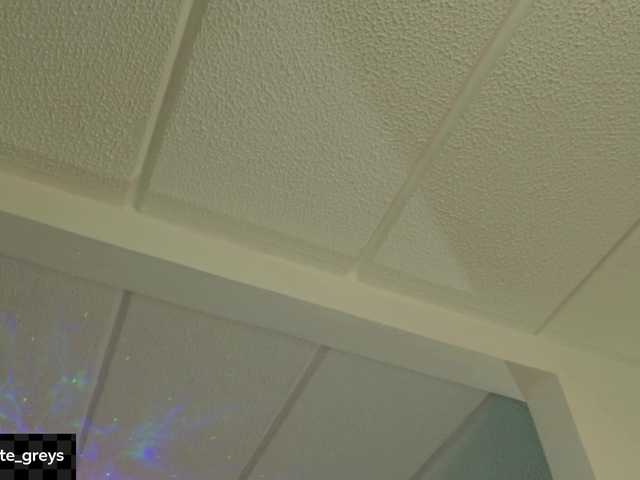 Charlotte-greys live cam on BongaCams