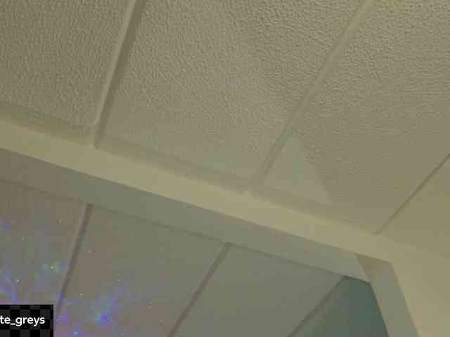Charlotte webcam
