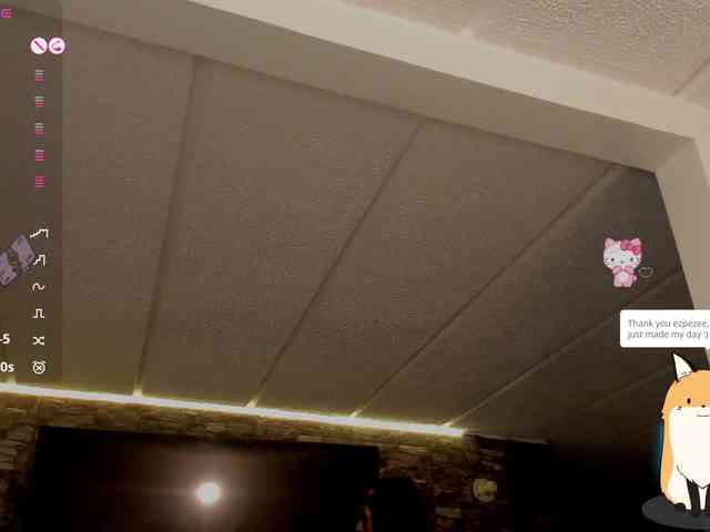 Charlotte webcam