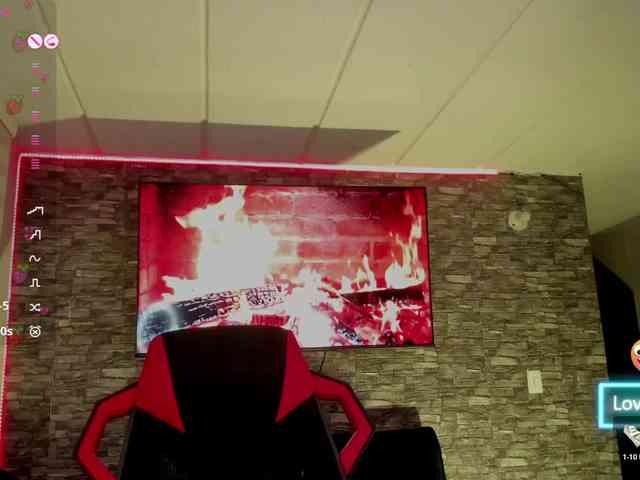 Charlotte webcam