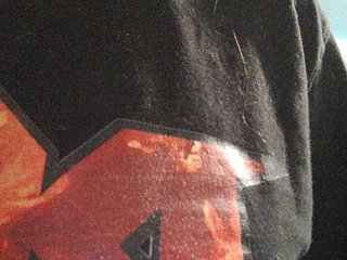 Xo4y-SeXa Porn Show