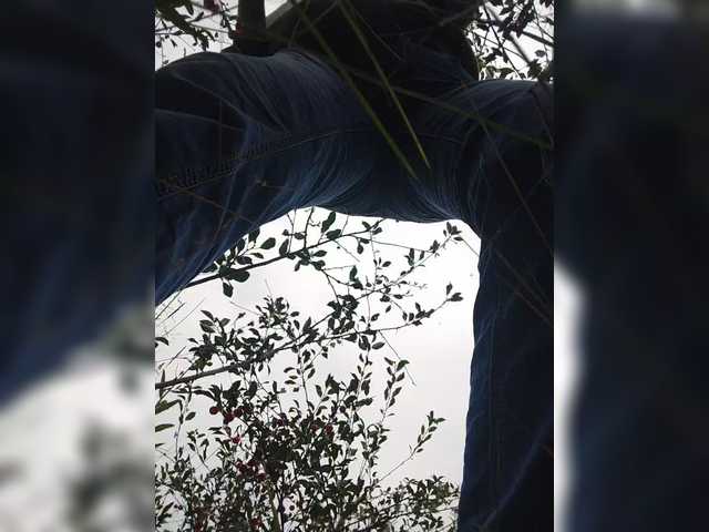 Xo4y-SeXa