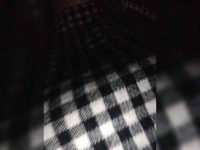 Xo4y-SeXa webcam