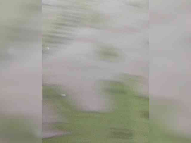 Xo4y-SeXa webcam