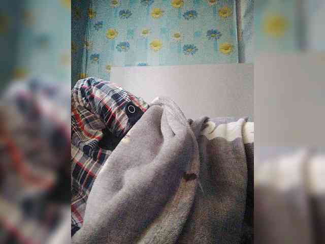 Xo4y-SeXa webcam