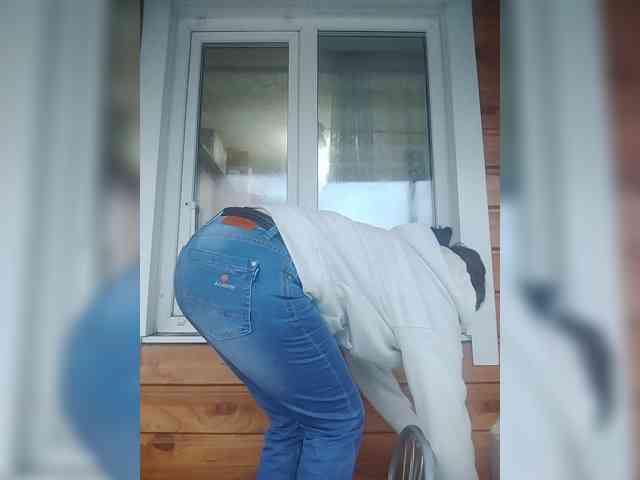 Xo4y-SeXa webcam