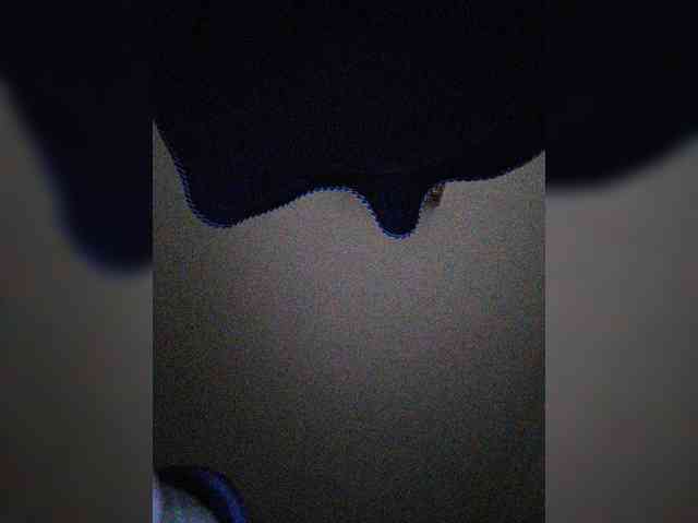Xo4y-SeXa webcam