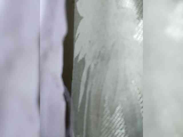 Xo4y-SeXa webcam