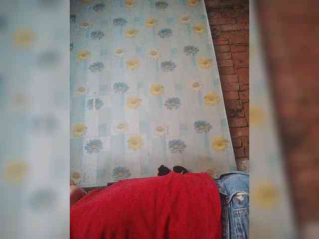 Xo4y-SeXa webcam