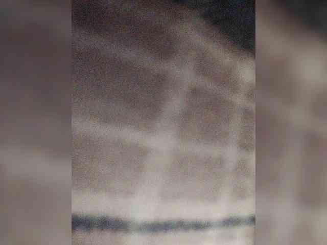 Xo4y-SeXa webcam