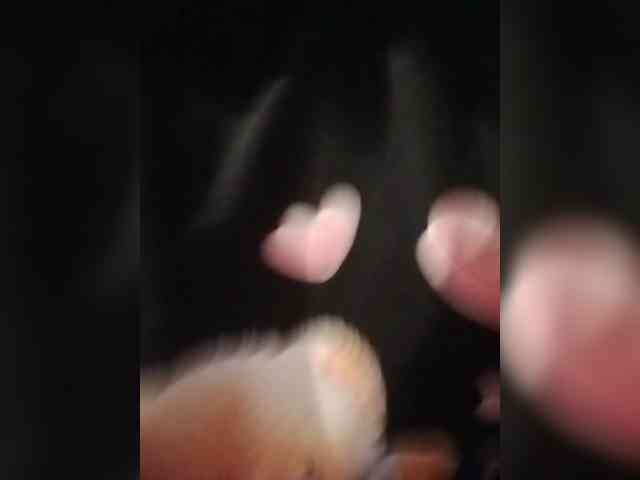 Xo4y-SeXa webcam