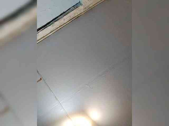 xo4y-sexa's live room
