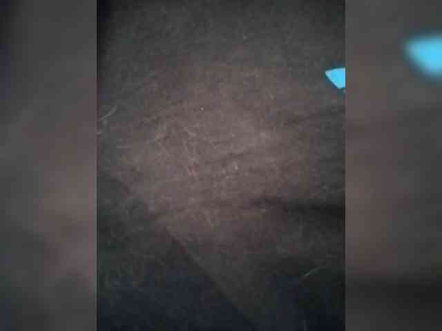 Xo4y-SeXa webcam