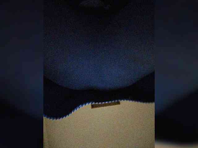 Xo4y-SeXa webcam
