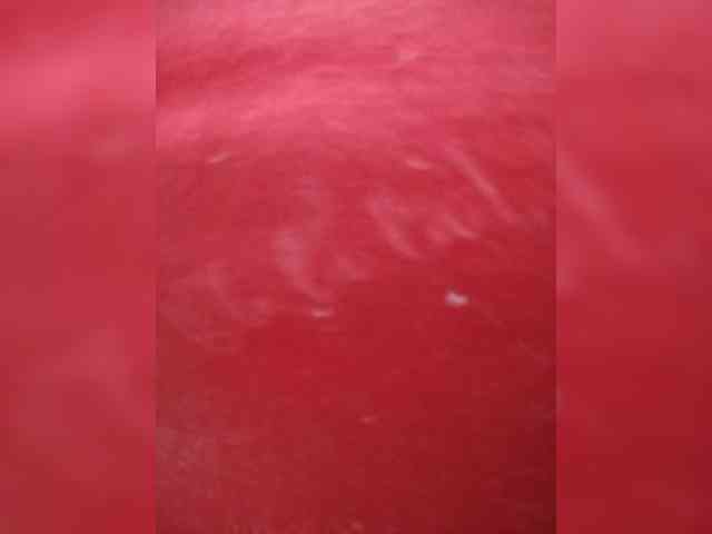 Xo4y-SeXa webcam