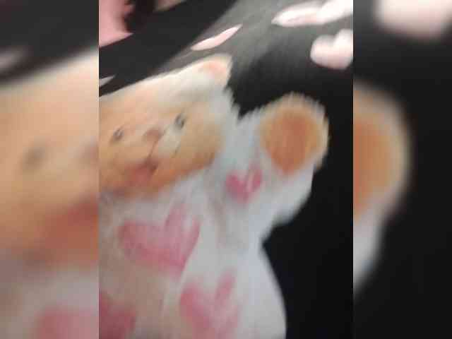 Xo4y-SeXa webcam