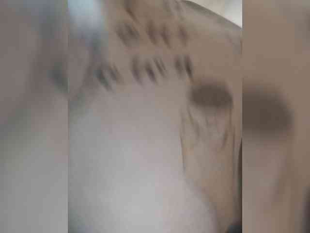 Xo4y-SeXa webcam
