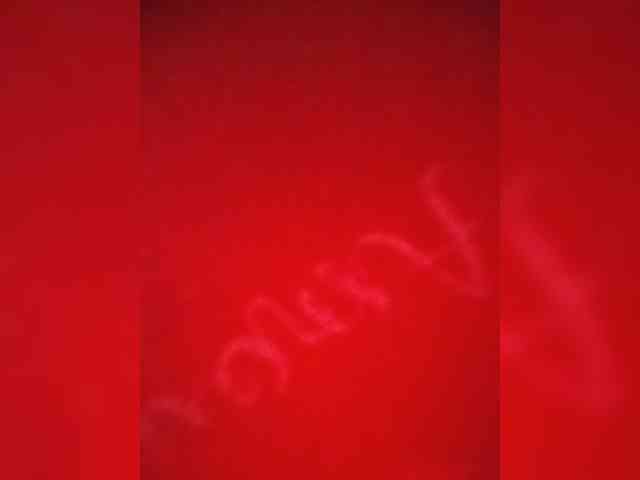Xo4y-SeXa webcam