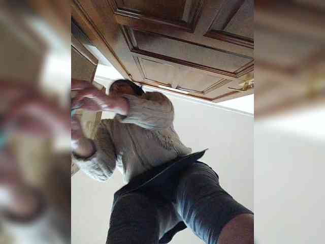 Xo4y-SeXa webcam
