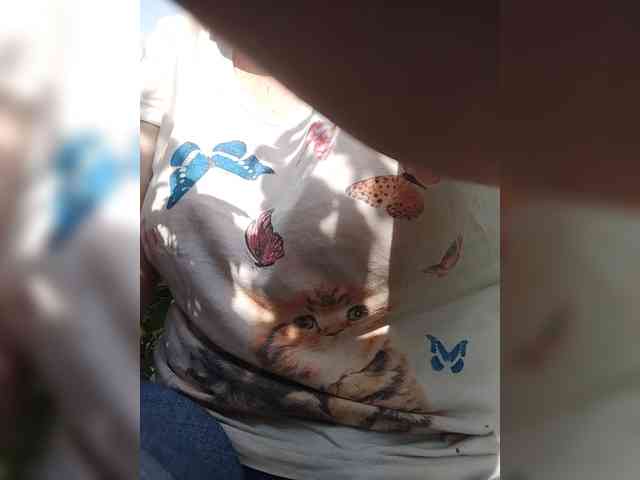 Xo4y-SeXa webcam
