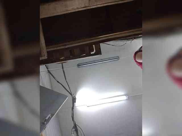 Xo4y-SeXa webcam