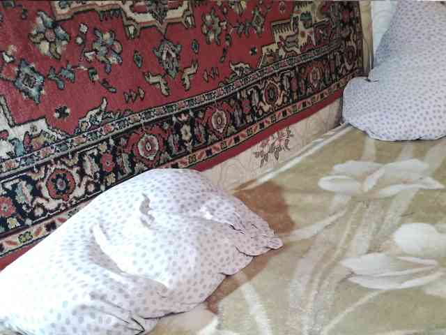 MilfZulfiya webcam