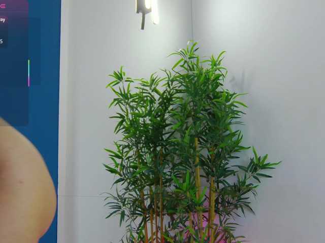 CelineMeyer live webcam show