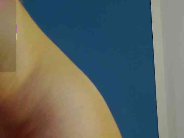 CelineMeyer webcam