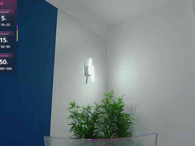 CelineMeyer webcam