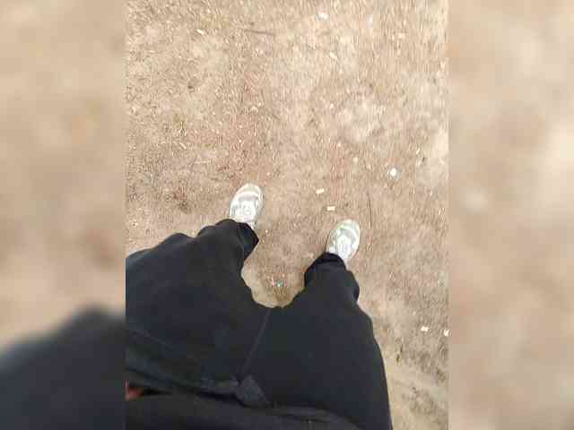 Metele6