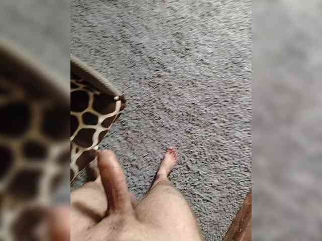 Metele6