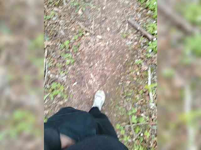 Metele6