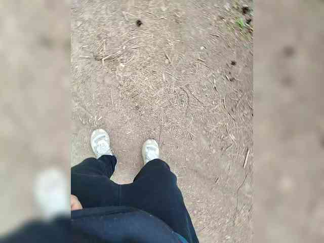 Metele6