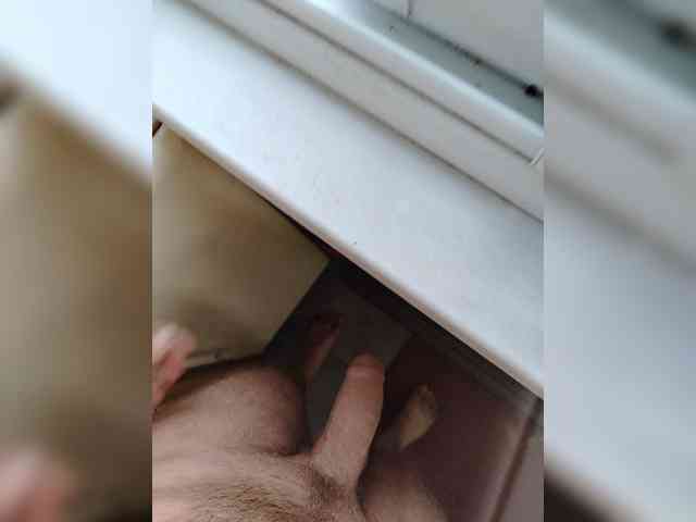 Metele6