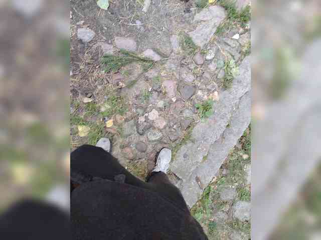 Metele6