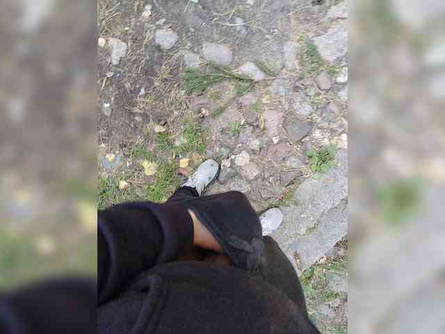 Metele6