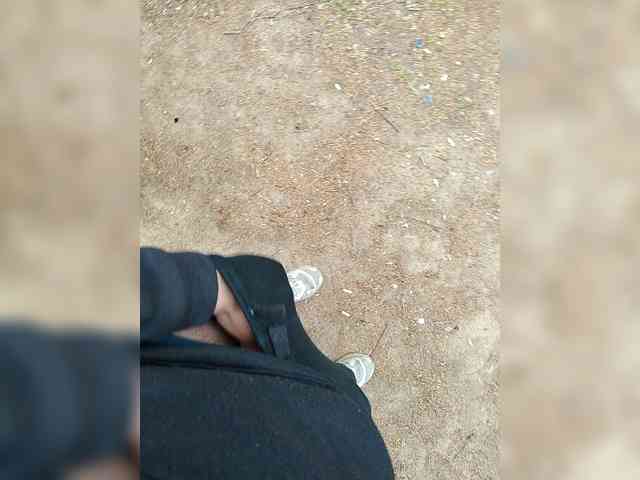 Metele6