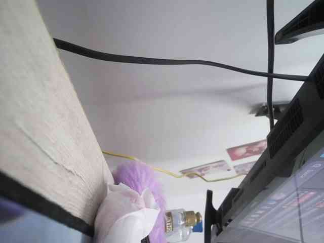 Maturerose3 Maturerose3