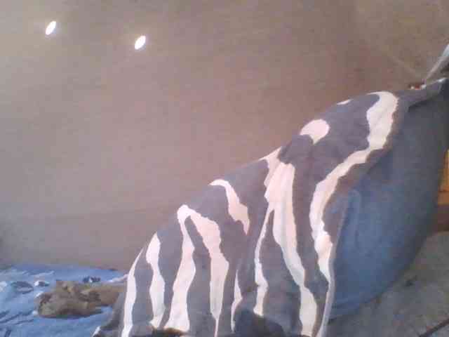 meloddy webcam