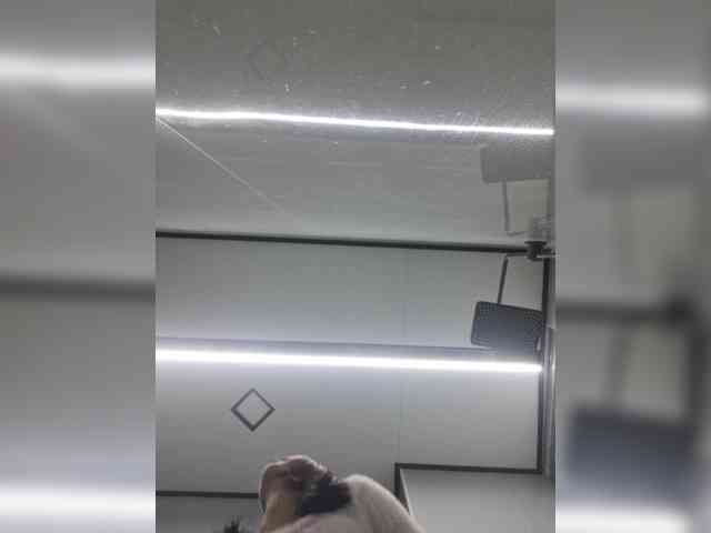 Selinababy99 webcam