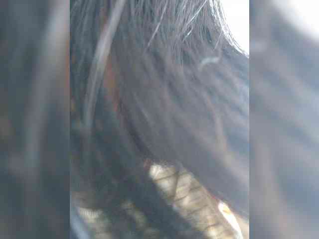 Selinababy99