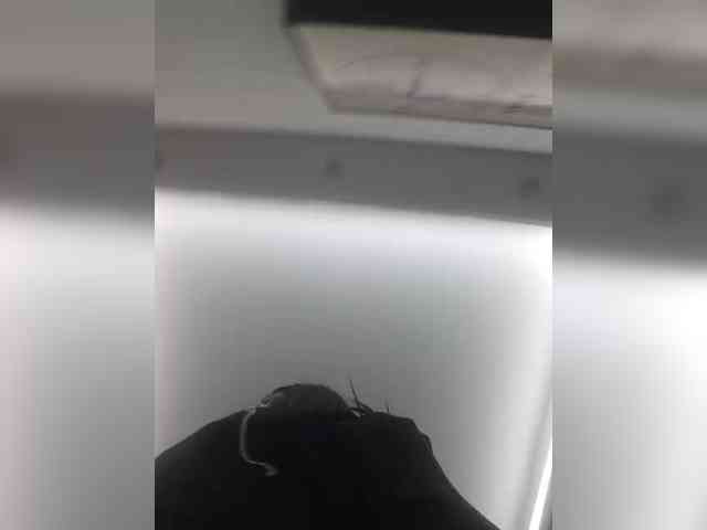 Selinababy99 webcam