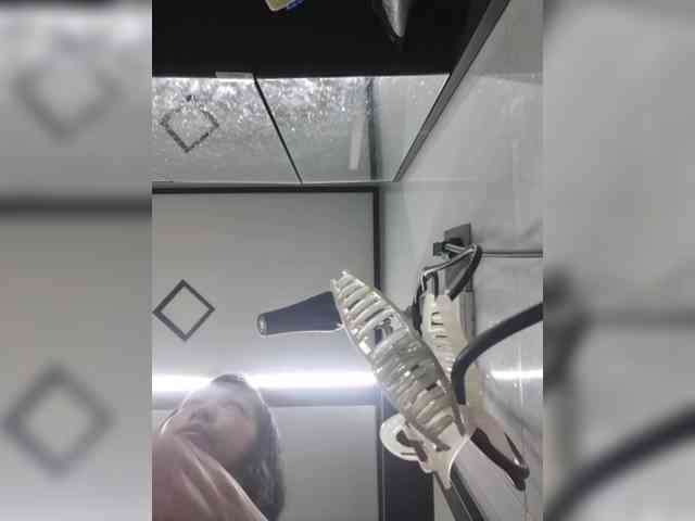 Selinababy99 webcam