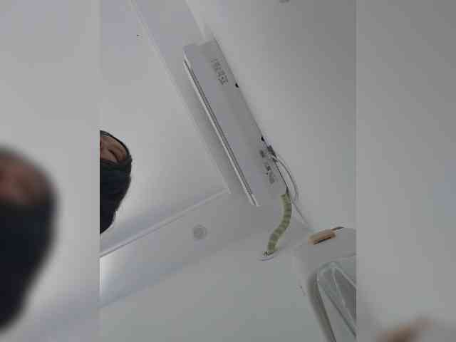 Selinababy99 webcam