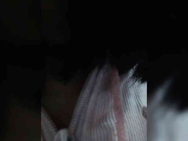 Selinababy99 webcam