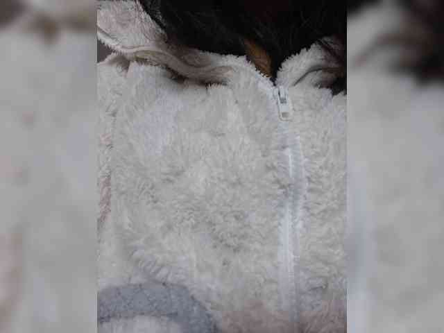 Selinababy99 webcam