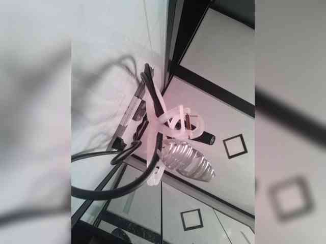 Selinababy99 webcam